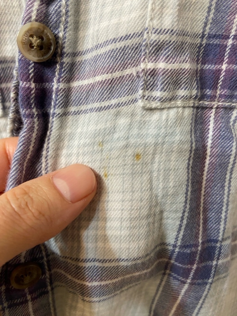 🦫 Roots Button Down - Picture 3 of 6